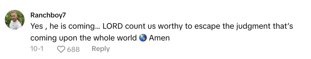 TikTok comment